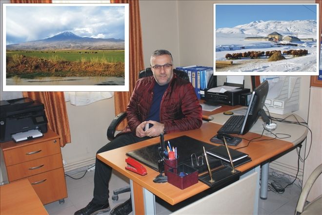 BİR ZAMANLAR AĞRI´NIN HAYVAN BORSASI (MAL MEYDANI) ÇOK ÜNLÜYDÜ?.