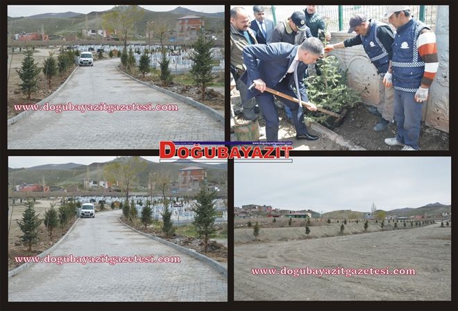 DOĞUBAYAIT´TA ŞEHİR MERKEZİNİN ARDINDAN HER YERE AĞAÇLANDIRMA SEFERBERLİĞİ?