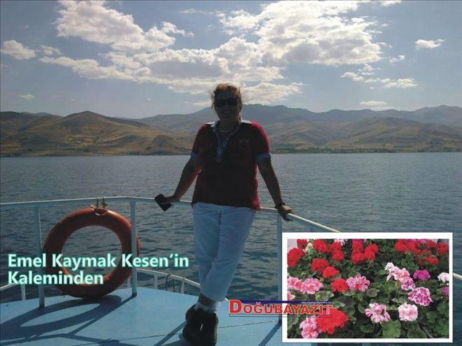 SARDUNYA´YA DAİR.