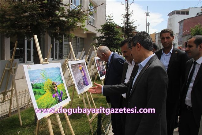 AĞRI´DA FOTOĞRAF SERGİSİ?
