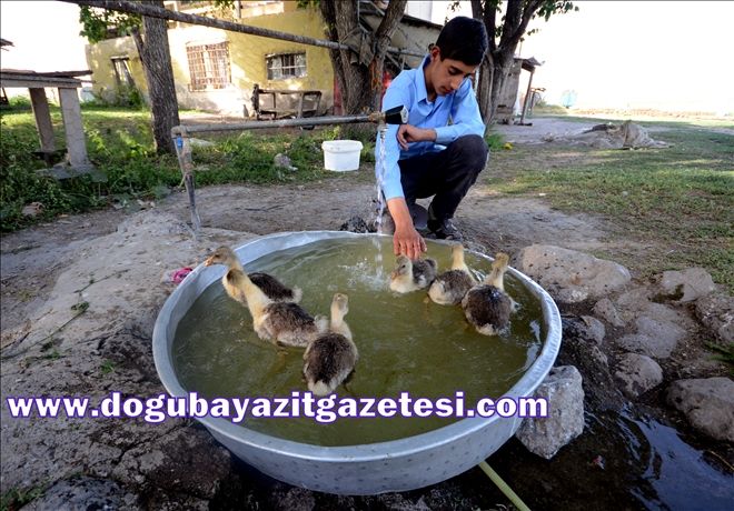 DOĞU´DA SICAKLAR 40 DERECE OLDU?