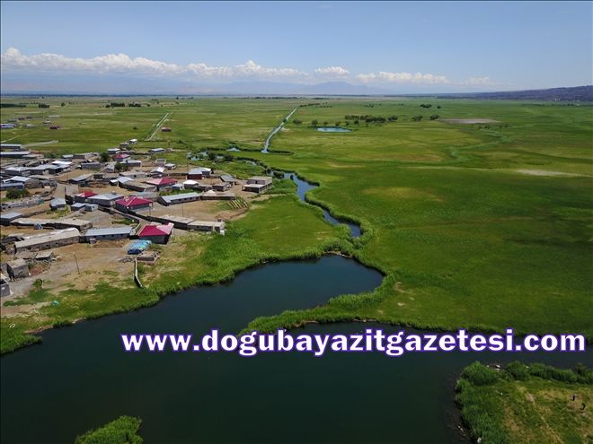 AĞRI DAĞI MİLLİ PARKI BÜYÜLÜYOR?
