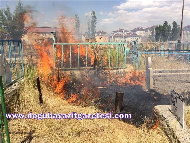 AĞRI´DA MEZARLIKTA YANGIN?