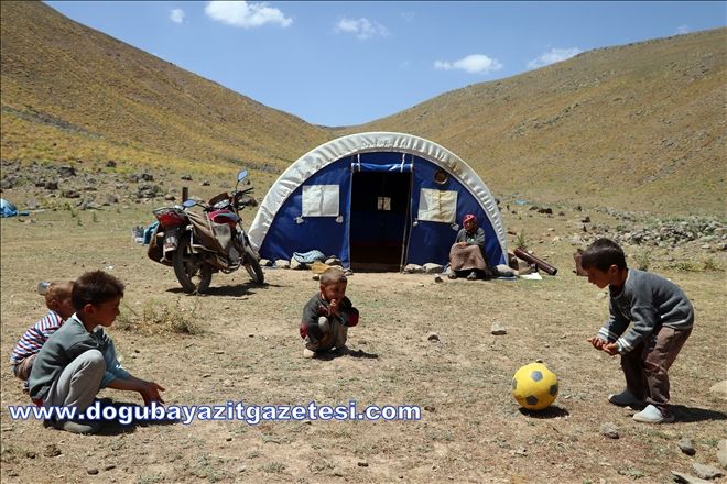 YILIN 6 AYINI YAYLALARDA GEÇİRİYORLAR?