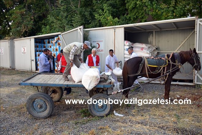 Türk Kızılayından Ağrı´da bin aileye gıda yardımı