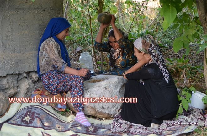 ASIRLIK ?BUĞDAY DÖNME GELENEĞİ?Nİ YAŞATIYORLAR?