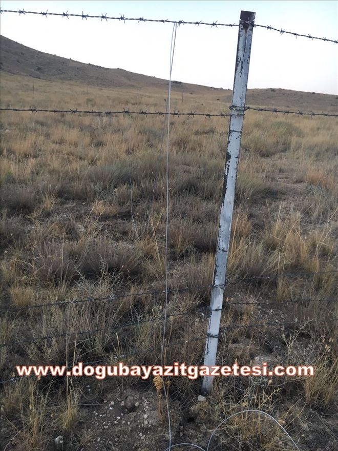 DOĞUBAYAZIT´A BAĞLI GÜRBULAK MEVKİİNDE SINIRA ÇELİK KABLO DÖŞEYEN 3 İRAN UYRUKLU YAKALANDI?