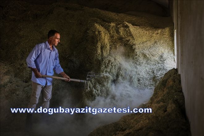 DEVLET DESTEĞİ, GİRİŞİMCİLERİNİN HAYAL GÜCÜNÜ GELİŞTİRİYOR?