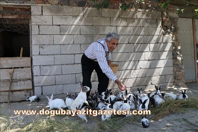 TAVŞAN YETİŞTİRME HOBİSİ EKMEK KAPISI OLDU?