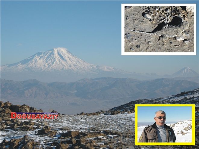 TOPBAŞ KELERİ AĞRI DAĞI´NDA GÖRÜNTÜLENDİ?
