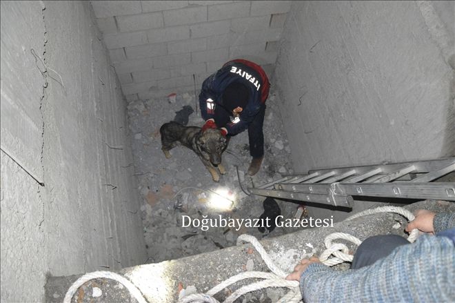DOĞUBAYAZIT´TA ASANSÖR BOŞLUĞUNA DÜŞEN KÖPEĞİ İFTAİYE EKİBİ KURTARDI?