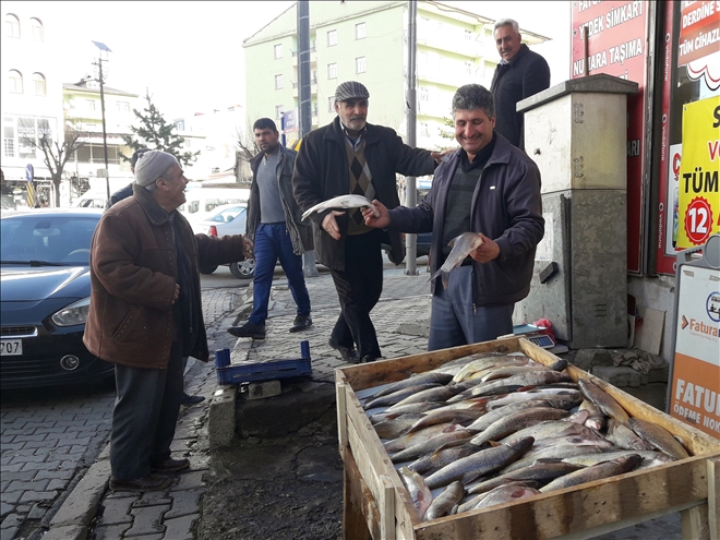 KAYA BALIĞI GEÇİM KAYNAĞI?