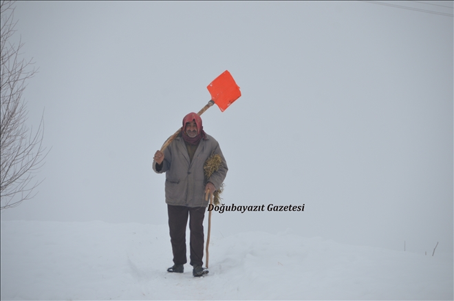 KIŞIN YÜZÜ SOĞUKTUR?