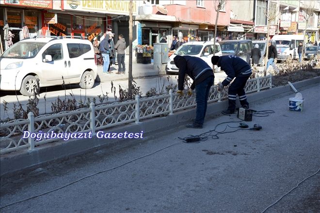 DOĞUBAYAZIT´TA PEYZAJ ÇALIŞMALARI?