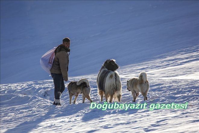 KÖYLÜLERİN KIŞ MESAİSİ?
