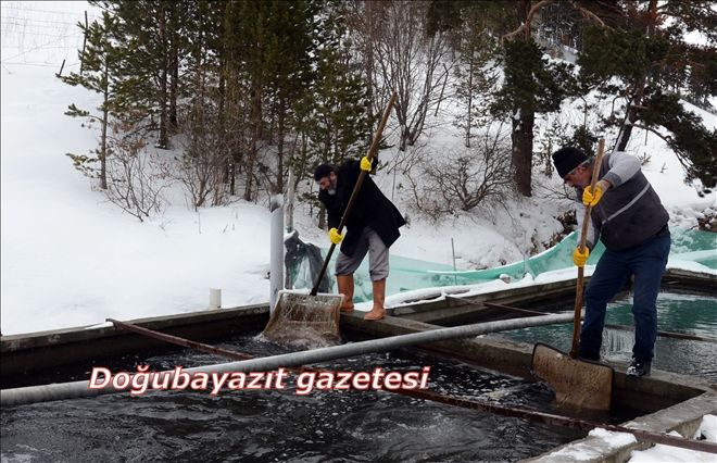 KÜLTÜR BALIKÇILIK