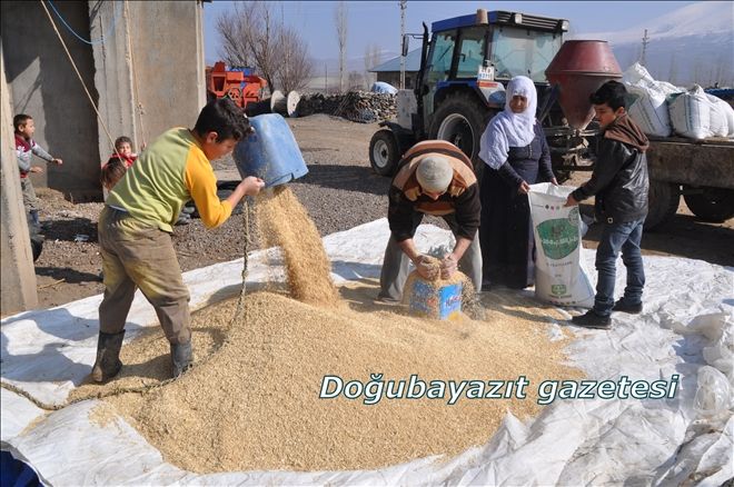 ÇİFTÇİLER EKİN HAZIRLIĞINA BAŞLADI?