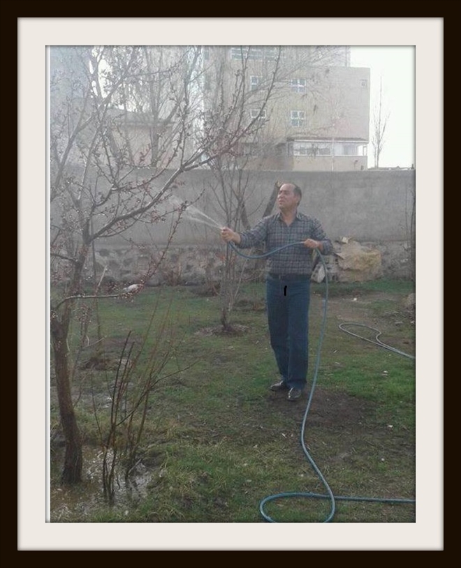 Haydi, Doğubayazıt´lılar Herkes Bir Fidan Diksin?