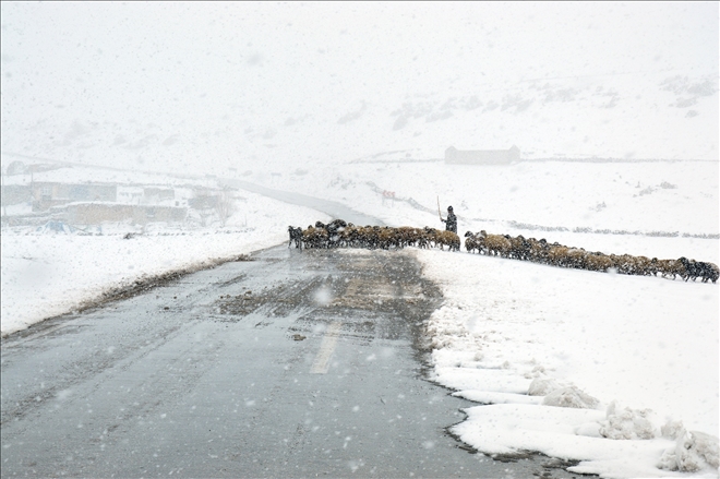 NİSAN KARI DOĞUBAYAZIT-TENDÜREK´TE ULAŞIMI AKSATTI