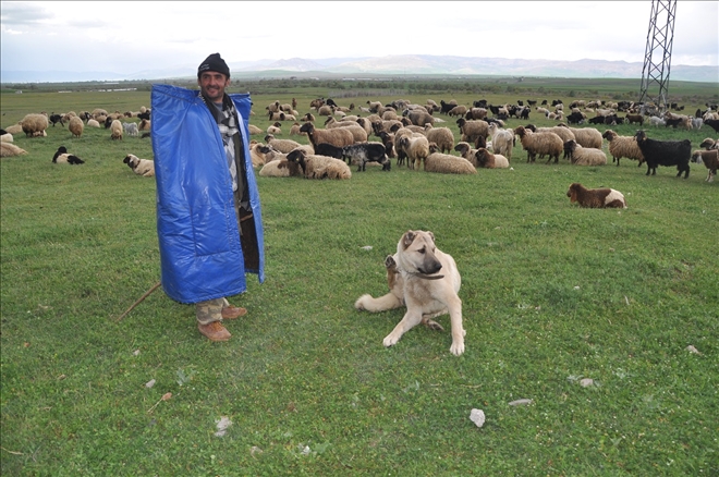 BESİCİLER YAYLA YOLLARINDA