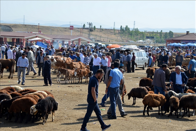 AĞRI´DA SAĞLIKSIZ KURBANLIKLARA GEÇİT YOK?