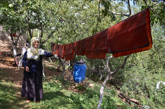 ERİK PESTİLİ YAPMAK MEZİYET İSTER?