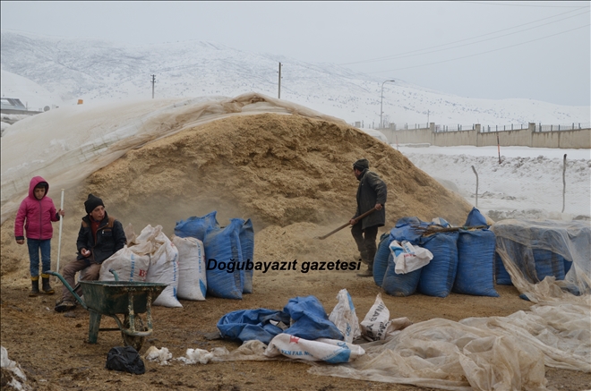 YEM SIKINTISI BAŞ GÖSTERDİ?