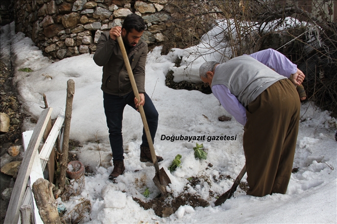 TOPRAĞA GÖMÜLEN NEVALELER ÇIKARILMAYA BAŞLANDI?