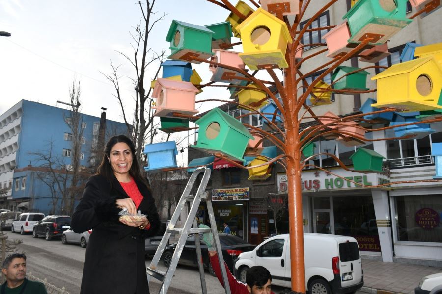 DOĞUBAYAZIT’TA KIŞIN BARINMAK İÇİN KUŞ YUVALARI