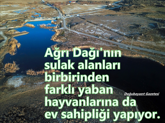 AĞRI DAĞI´NDA GÖRÜNTÜLENDİLER?