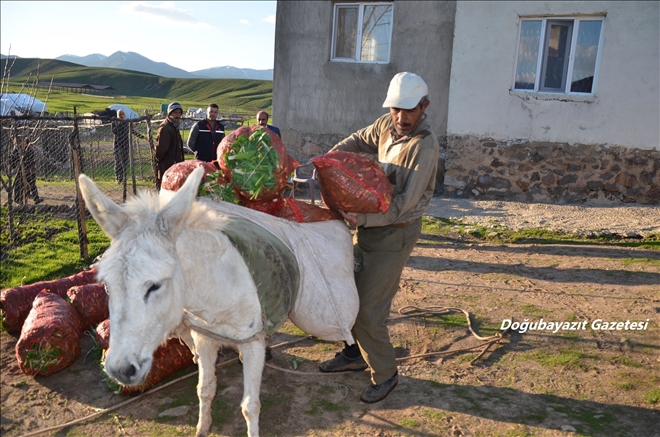 GULİK GEÇİM KAYNAKLARI OLDU?