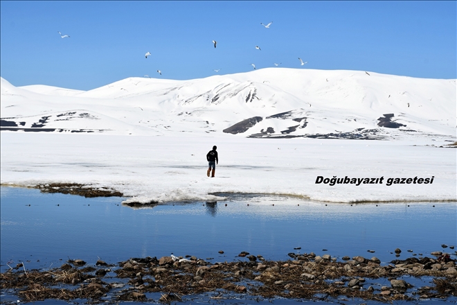 DOĞUBAYAZIT SINIRLARINDA BULUNAN BALIK GÖLÜ