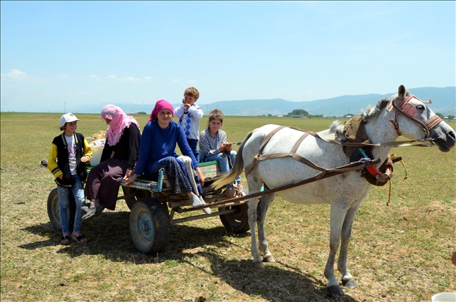 BERİVANLARDAN DEĞİŞİK BAYRAM