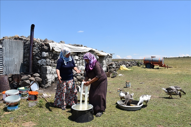 KIŞLIK HAZIRLIKLAR BAŞLADI