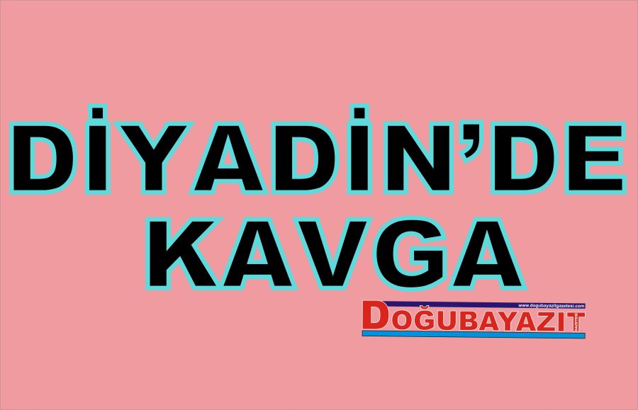 Diyadin’de taşlı sopalı kavga