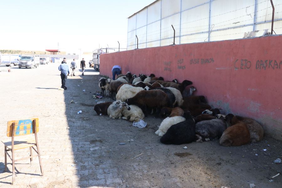 BAYRAMIN SON GÜNÜNE KADAR UMUT VAR…