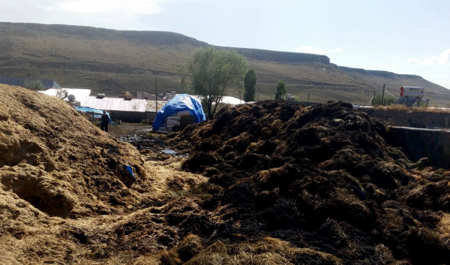 Besicinin umudu otlar yangında kül oldu