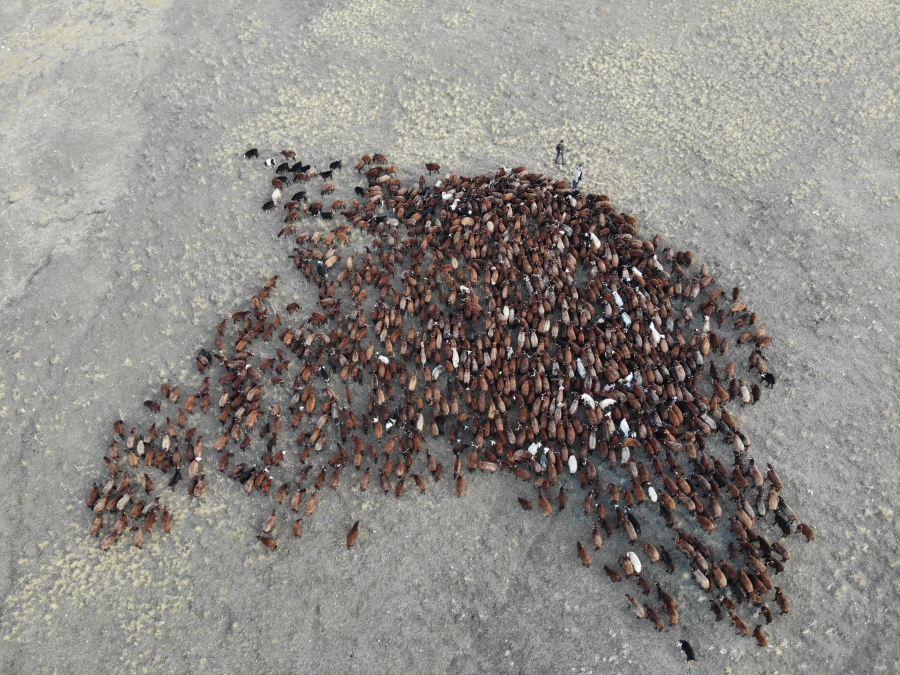 GÖÇERLERİN DÖNÜŞ YOLCULUĞU SÜRÜYOR