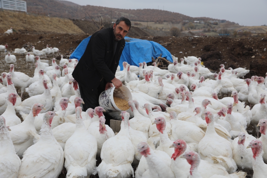 Hindi üreticisi, salgına rağmen yeni yıldan umutlu