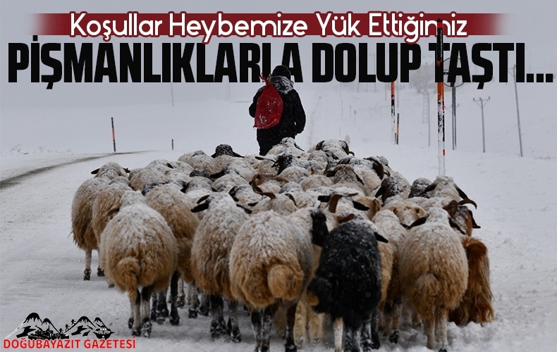 YÜKÜ AĞIR BİR YOKUŞ