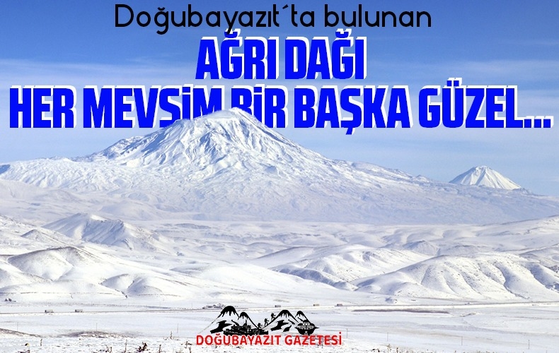 AĞRI DAĞI OVASI
