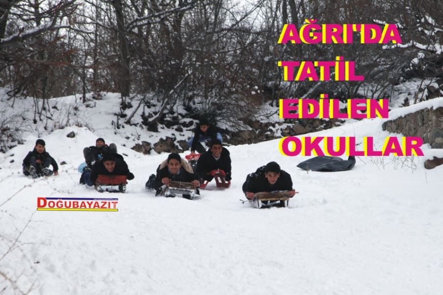 AĞRI, TUTAK, DİYADİN YAŞLIÇAY VE PATNOS’TA KAR TATİLİ