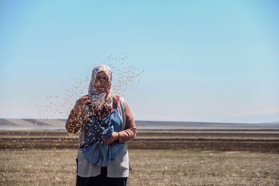 AĞRI’DA TARIM ALANLARINDA EKİN DÖNEMİ BAŞLADI