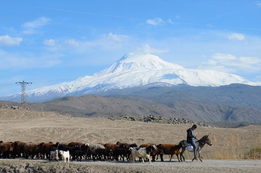 AĞRI DAĞI HEYBETİ