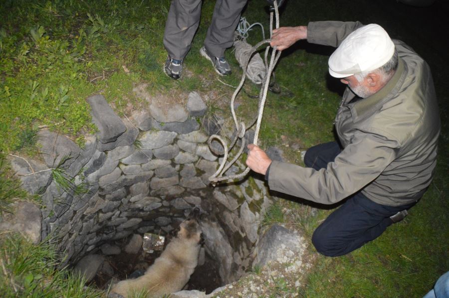 Kuyudan çıkarılan gebe köpek düştüğü bir başka kuyudan da kurtarıldı