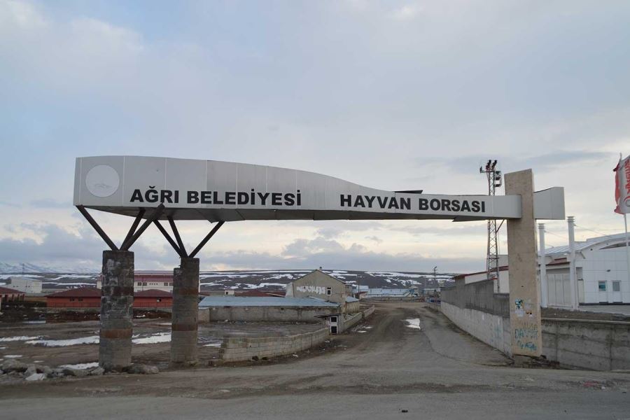 KOVİD-19 YÜZÜNDEN KAPATILAN AĞRI HAYVAN PAZARI HAFTADA 2 GÜN AÇIK OLACAK