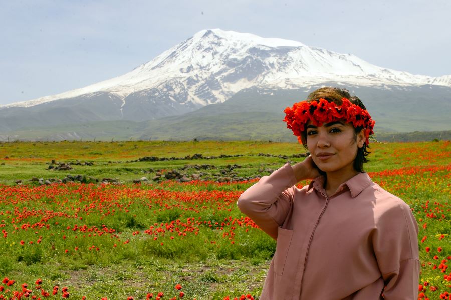 Ağrı Dağı gelinciklerle bezendi