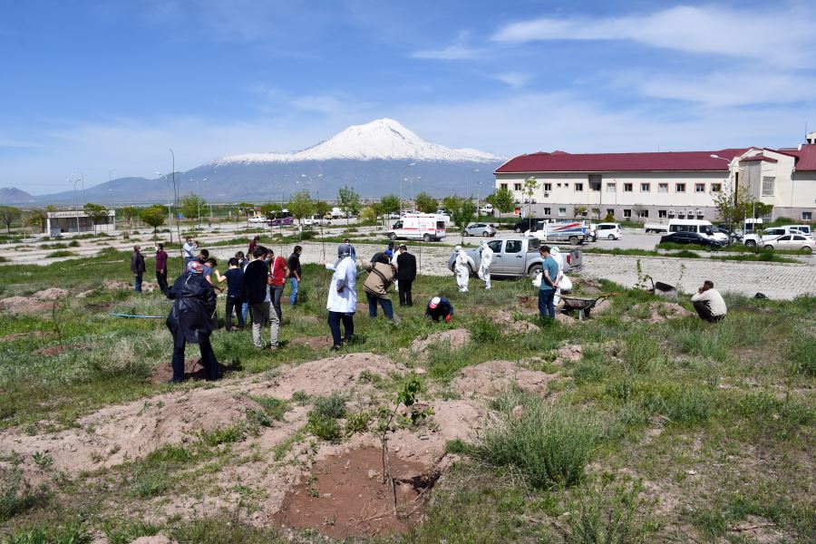 DOĞUBAYAZIT TARIM, HASTANE BAHÇESİNE 41 MEYVE FİDANINI TOPRAKLA BULUŞTURDU