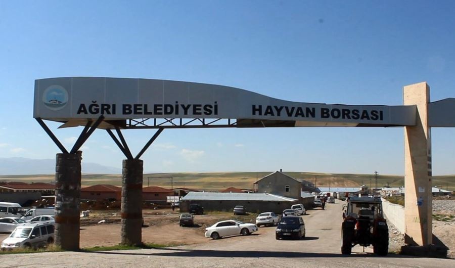 HAYVAN BORSASI HER GÜN