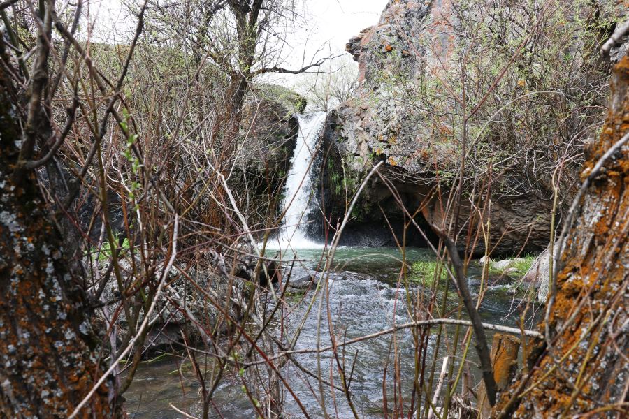 Ağrı